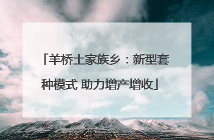 羊桥土家族乡：新型套种模式 助力增产增收