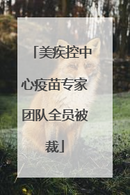 美疾控中心疫苗专家团队全员被裁