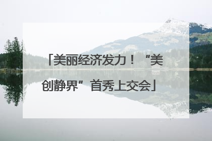 美丽经济发力！“美创静界”首秀上交会
