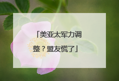 美亚太军力调整？盟友慌了