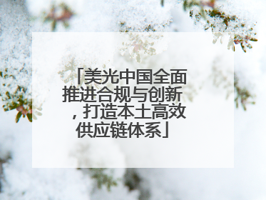 美光中国全面推进合规与创新，打造本土高效供应链体系