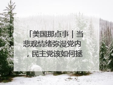 美国那点事｜当悲观情绪弥漫党内，民主党该如何拯救自己？