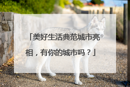 美好生活典范城市亮相，有你的城市吗？