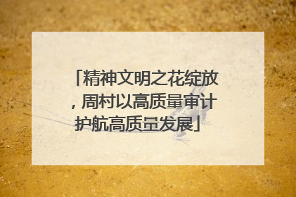 精神文明之花绽放，周村以高质量审计护航高质量发展