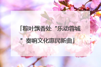 粽叶飘香处“乐动蓉城”奏响文化惠民新曲