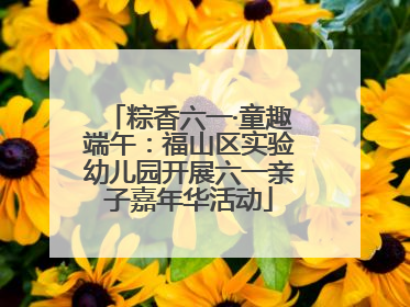 粽香六一·童趣端午：福山区实验幼儿园开展六一亲子嘉年华活动