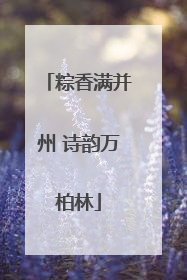 粽香满并州 诗韵万柏林
