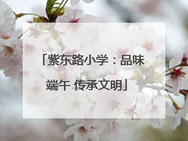 紫东路小学：品味端午 传承文明