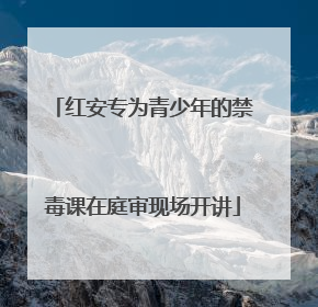 红安专为青少年的禁毒课在庭审现场开讲