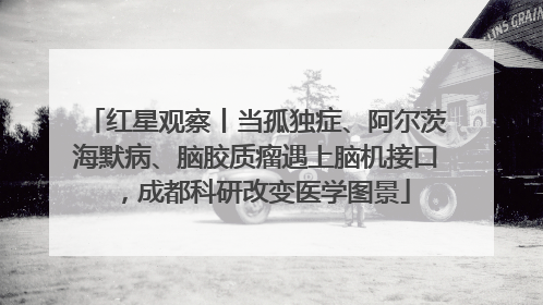 红星观察丨当孤独症、阿尔茨海默病、脑胶质瘤遇上脑机接口，成都科研改变医学图景