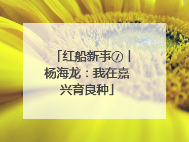 红船新事⑦丨杨海龙：我在嘉兴育良种