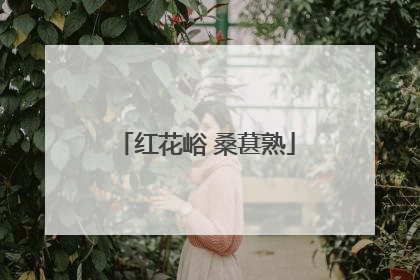 红花峪 桑葚熟
