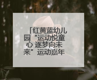 红黄蓝幼儿园“运动悦童心 逐梦向未来”运动嘉年华燃情举办