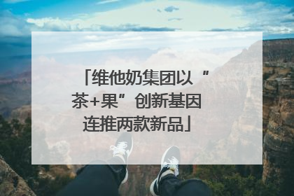 维他奶集团以“茶+果”创新基因连推两款新品