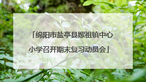 绵阳市盐亭县嫘祖镇中心小学召开期末复习动员会