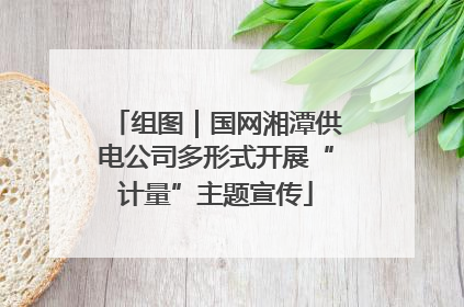 组图｜国网湘潭供电公司多形式开展“计量”主题宣传