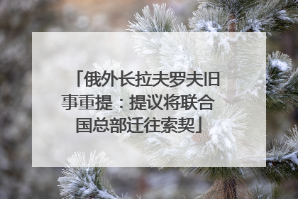 俄外长拉夫罗夫旧事重提：提议将联合国总部迁往索契