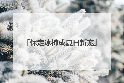 保定冰柿成夏日新宠