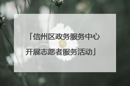 信州区政务服务中心开展志愿者服务活动