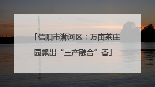 信阳市浉河区：万亩茶庄园飘出“三产融合”香