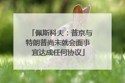 佩斯科夫：普京与特朗普尚未就会面事宜达成任何协议