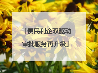 便民利企双驱动 审批服务再升级