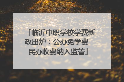 临沂中职学校学费新政出炉：公办免学费 民办收费纳入监管