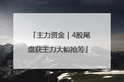 主力资金｜4股尾盘获主力大幅抢筹