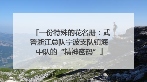 一份特殊的花名册：武警浙江总队宁波支队镇海中队的“精神密码”