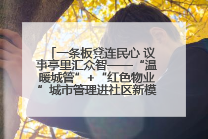 一条板凳连民心 议事亭里汇众智——“温暖城管”+“红色物业”城市管理进社区新模式绘就城市管理社区治理新画卷