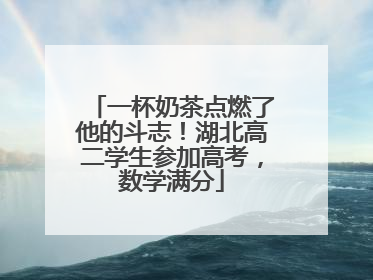 一杯奶茶点燃了他的斗志！湖北高二学生参加高考，数学满分