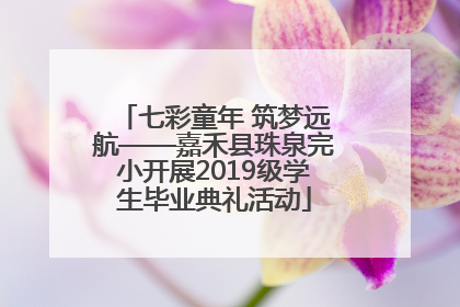 七彩童年 筑梦远航——嘉禾县珠泉完小开展2019级学生毕业典礼活动