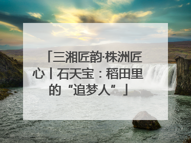 三湘匠韵·株洲匠心丨石天宝：稻田里的“追梦人”