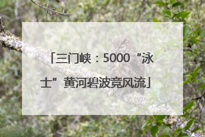 三门峡：5000“泳士”黄河碧波竞风流