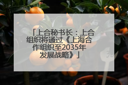 上合秘书长：上合组织将通过《上海合作组织至2035年发展战略》