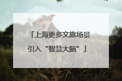 上海更多文旅场景引入“智慧大脑”