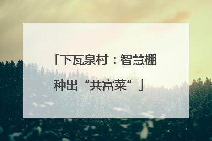 下瓦泉村：智慧棚种出“共富菜”