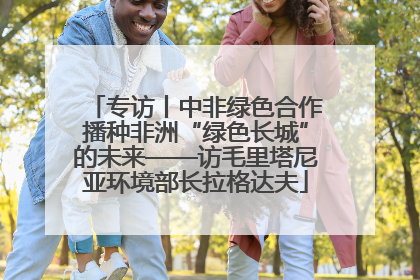 专访丨中非绿色合作播种非洲“绿色长城”的未来——访毛里塔尼亚环境部长拉格达夫