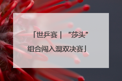 世乒赛｜“莎头”组合闯入混双决赛