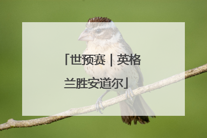 世预赛｜英格兰胜安道尔