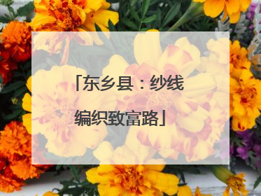 东乡县：纱线编织致富路