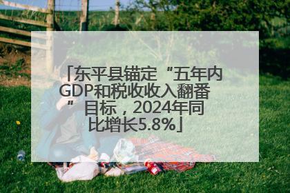 东平县锚定“五年内GDP和税收收入翻番”目标，2024年同比增长5.8%