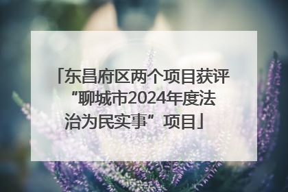 东昌府区两个项目获评“聊城市2024年度法治为民实事”项目