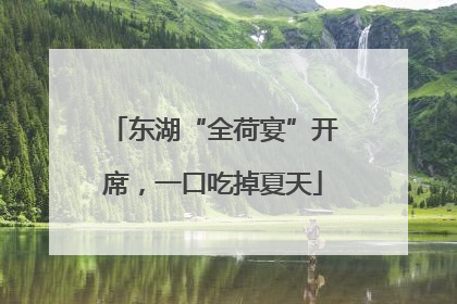 东湖“全荷宴”开席，一口吃掉夏天