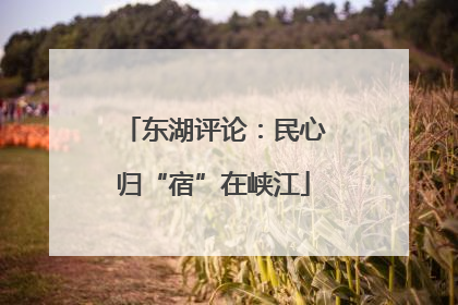 东湖评论：民心归“宿”在峡江