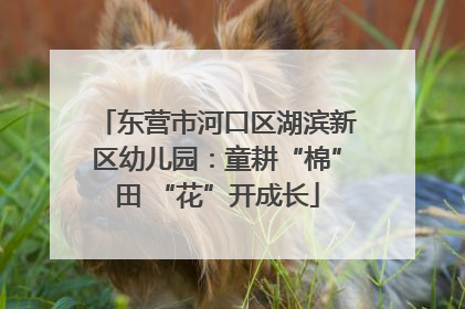 东营市河口区湖滨新区幼儿园：童耕“棉”田 “花”开成长