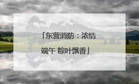 东营消防：浓情端午 粽叶飘香