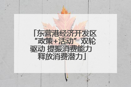 东营港经济开发区“政策+活动”双轮驱动 提振消费能力 释放消费潜力