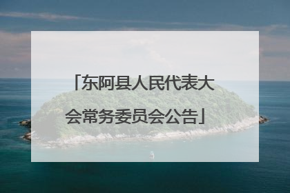 东阿县人民代表大会常务委员会公告