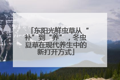 东阳光鲜虫草从“补”到“养”，冬虫夏草在现代养生中的新打开方式